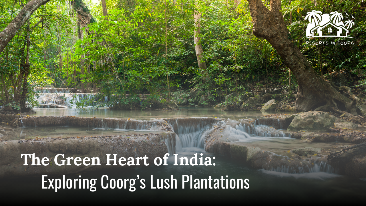 The Green Heart of India: Exploring Coorg’s Lush Plantations